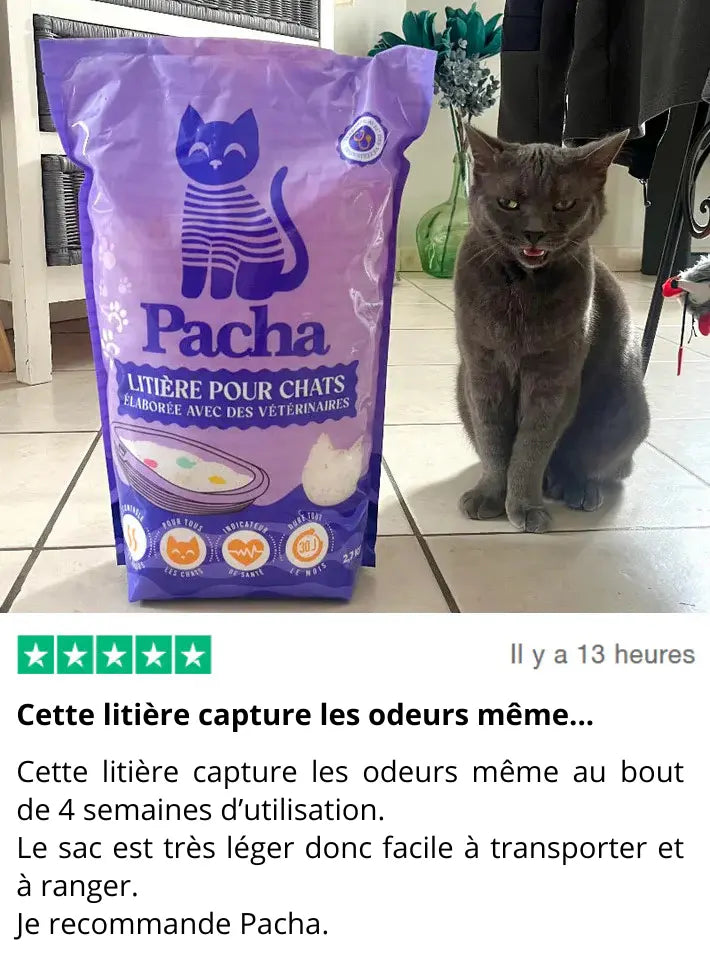 avis litière pour chat  Pacha