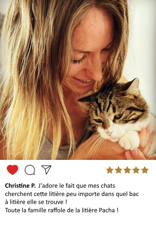 litière sans odeur