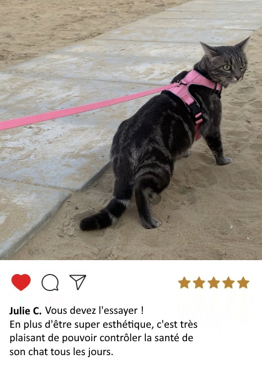 litière Pacha sans odeur
