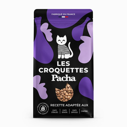 Croquettes Pacha