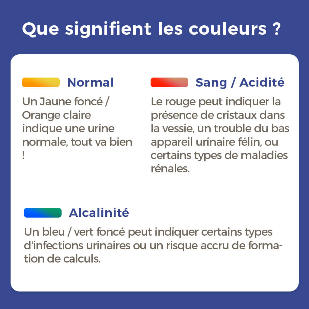 litière silice chat qui surveille la santé