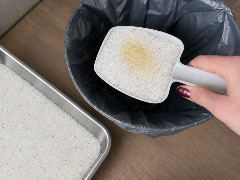 Une pelle qui jette à la poubelle des cristaux qui ont absorbé l’urine