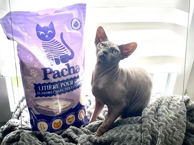 Photo partagée par un client Pacha : son chat à côté du sac
