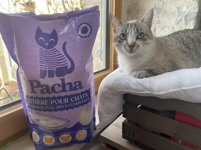 Photo partagée par un client Pacha : son chat à côté du sac