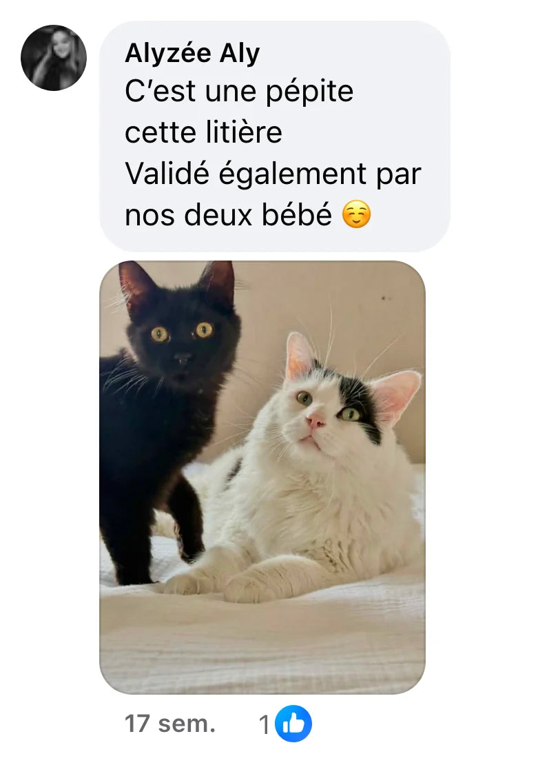 Commentaire Facebook de Alyzée Aly (1 J’aime) : « C’est une pépite cette litière Validé également par nos deux bébé ☺️ »